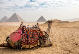 4 DAY EGYPT HOLIDAY PACKAGE VISIT CAIRO AND LUXOR