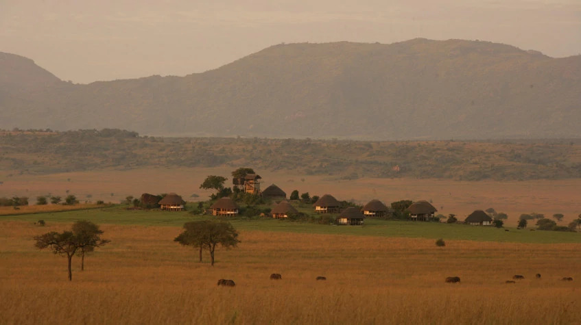 16 Days Wild Uganda Safari