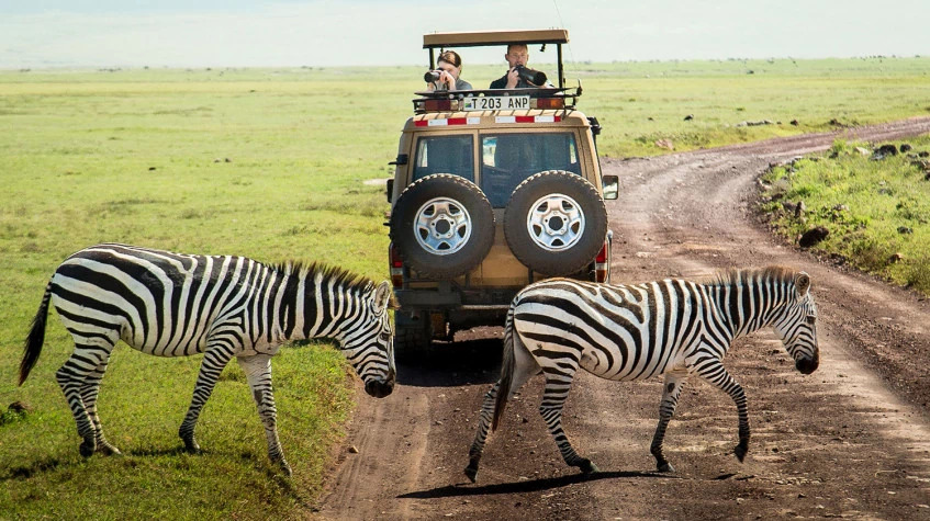 Tanzania Big 5 Safari