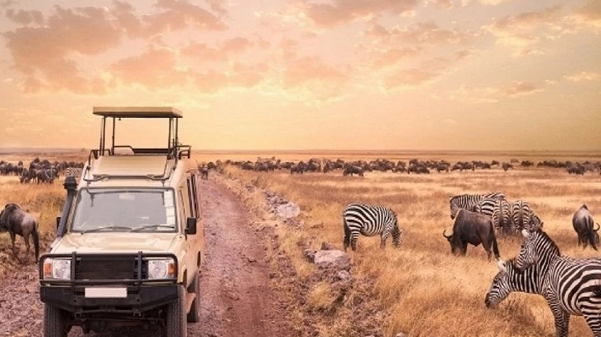 Spectacular Serengeti Safari