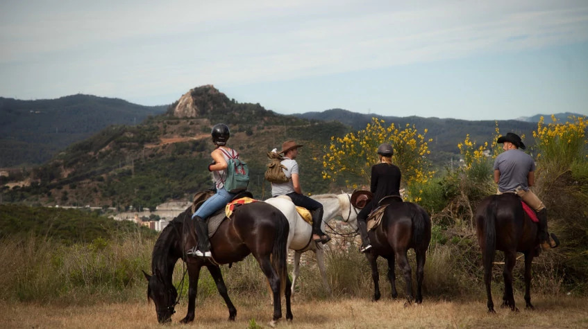 Daily Horse Riding Tour Departing from Alanya