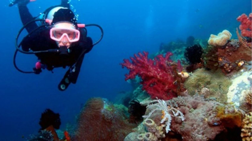 Daily Diving Tour from Alanya
