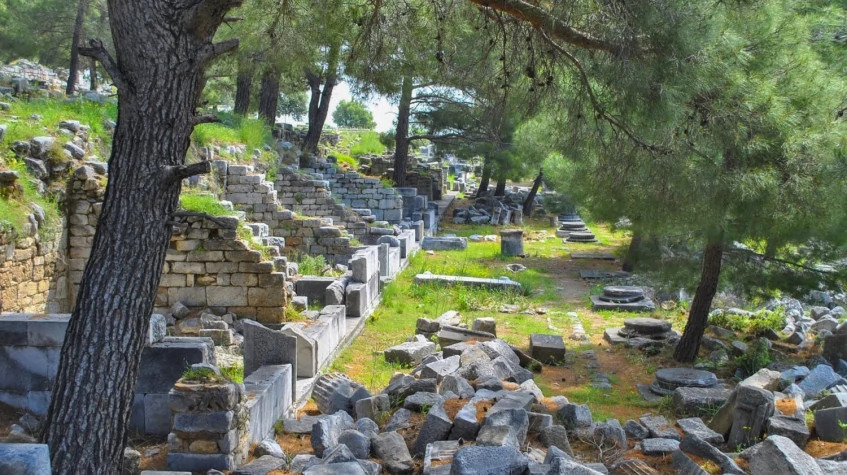 Daily Priene  Miletus Didyma Tour From Cesme