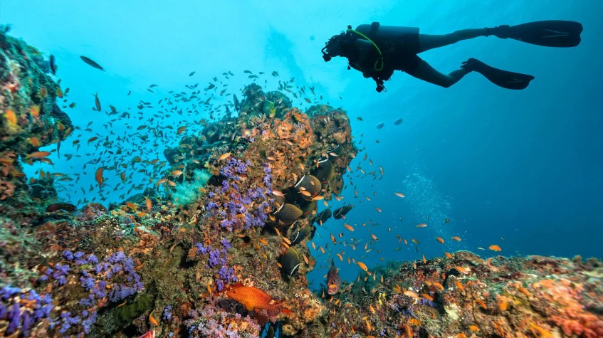 Daily Scuba Diving in Oludeniz