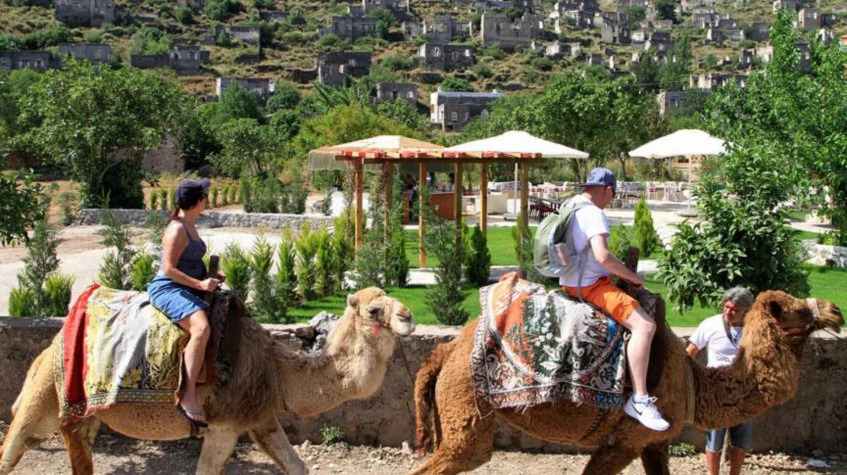 Daily Camel Riding Tour from Oludeniz