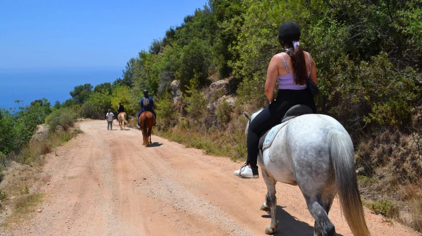Daily Fethiye Horse Riding Tour from Oludeniz