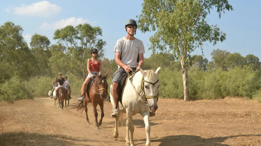 Daily Horse Safari Tour From Kusadasi