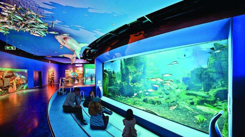 Aquarium Tour from Istanbul