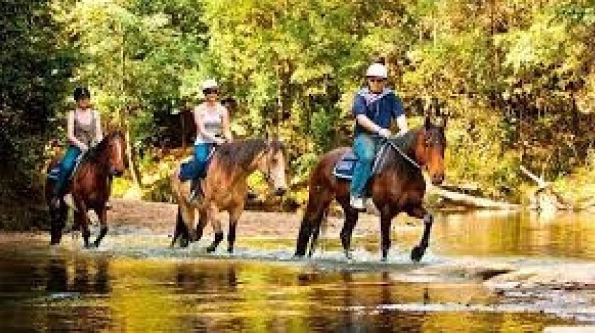 7 Day Horse Riding Package Istanbul Tour