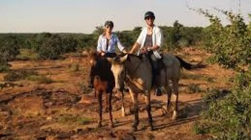 7 Days Horse Riding Package Istanbul Tour