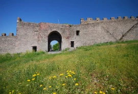 Ardahan Castle