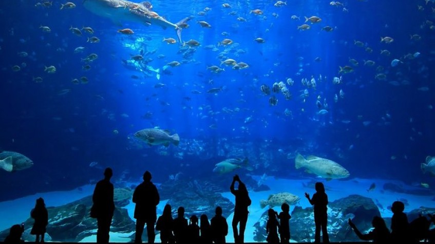7-Day Family Tour Istanbul