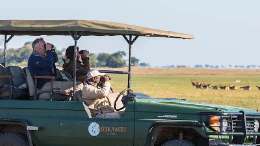 13 Days Safari in Zambia’s Animal Kingdom
