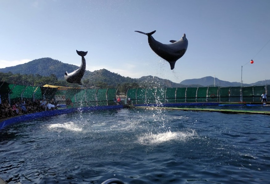 Dolphinarium (Marmaris)