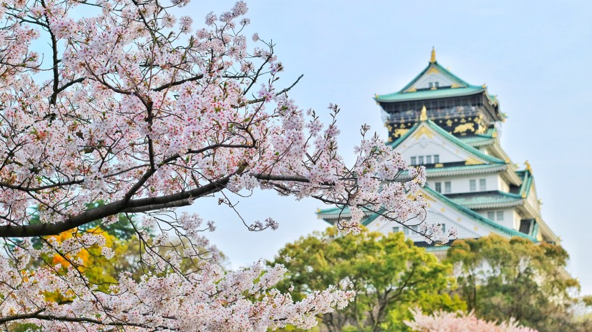 7 Days Disneyland and Universal Studios Japan Package Tour