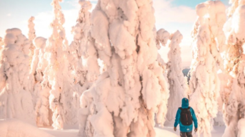 Arctic Snowshoeing Day
