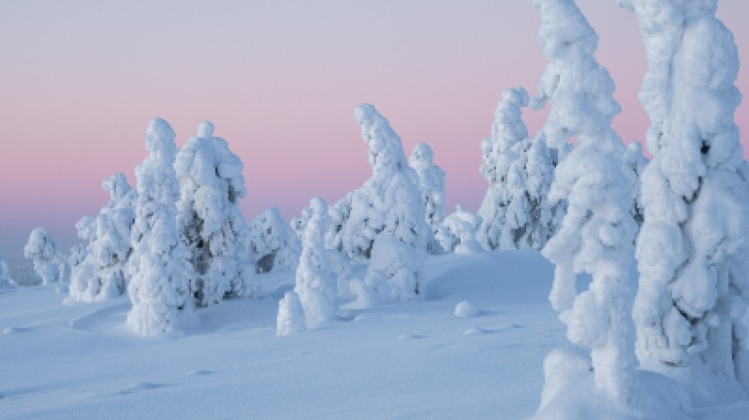 Riisitunturi National Park