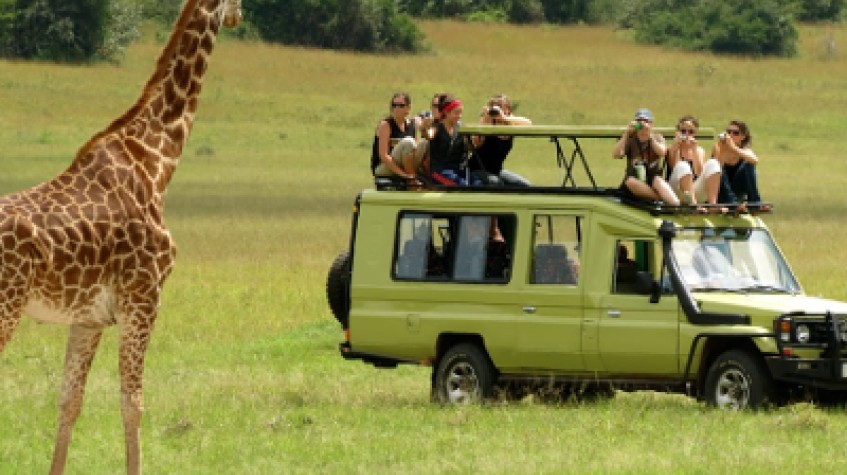 3 Days Masai Mara Group Joining Safari