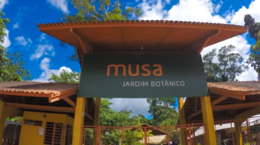 Musa, the Museum of the Amazon