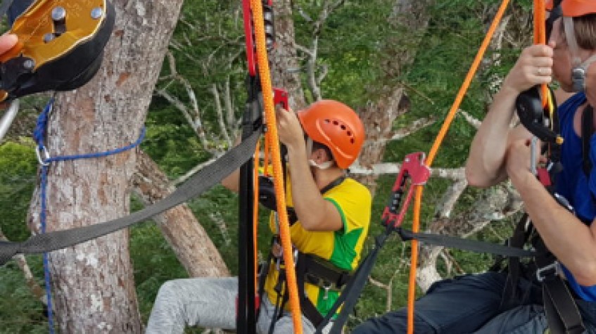Tree Climbing