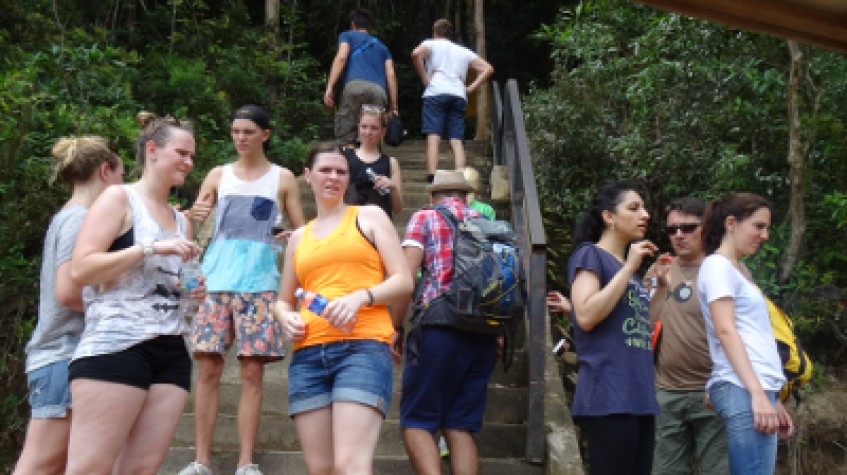 P38 3D 2N Tour Kuala Lumpur - Rainforest Taman Negara - Cameron Highlands - Penang Island drop off 