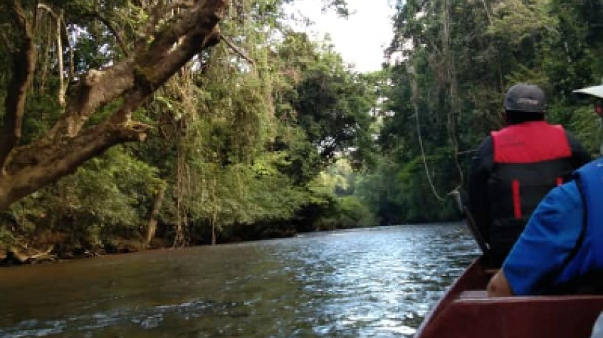 P 27 2D 1N Tour Rainforest Taman Negara + Night Jungle Walk