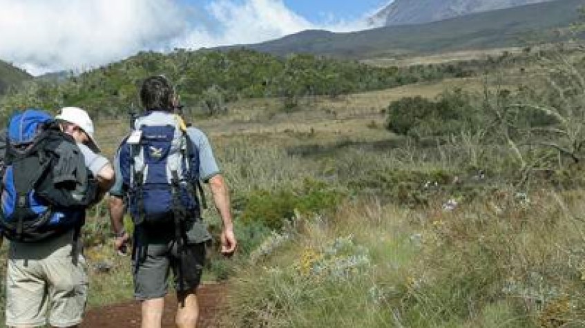 6 Days Lemosho Route Kilimanjaro