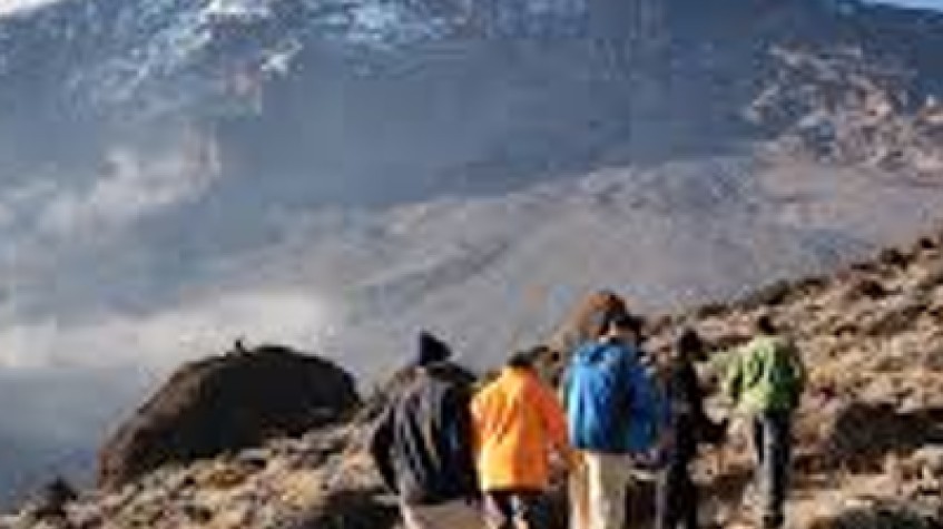 Kilimanjaro Climbing Via Rongai Route 7 Days