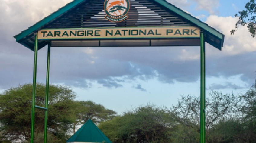 3 Days Safari Lake Manyara, Ngorongoro Crater and Tarangire National Park