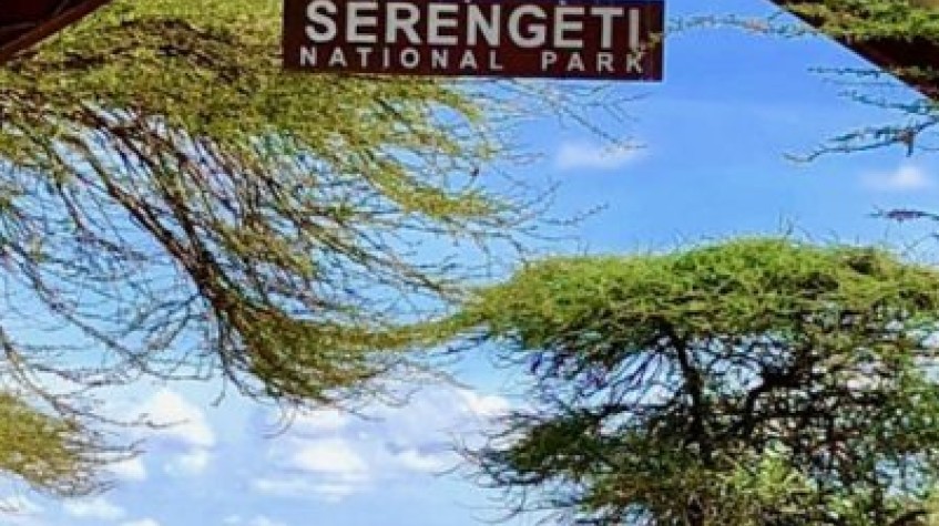 5 Days Tarangire National Park, Serengeti National Park, Ngorongoro Crater and Lake Manyara National Park
