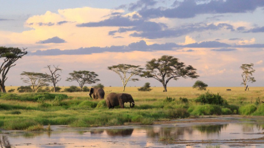 6 Days Safari Tarangire National Park, Serengeti National Park, Ngorongoro Crater and Lake Manyara