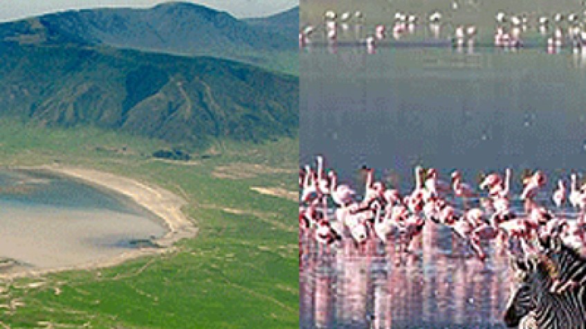 7 Days Safari Tarangire Np, Lake Natron, Serengeti Np, Ngorongoro Crater and Lake Manyara