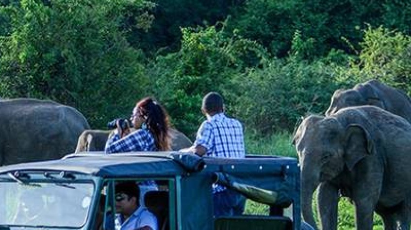8 Days Historical and Wildlife Tour in Cultural Triangle