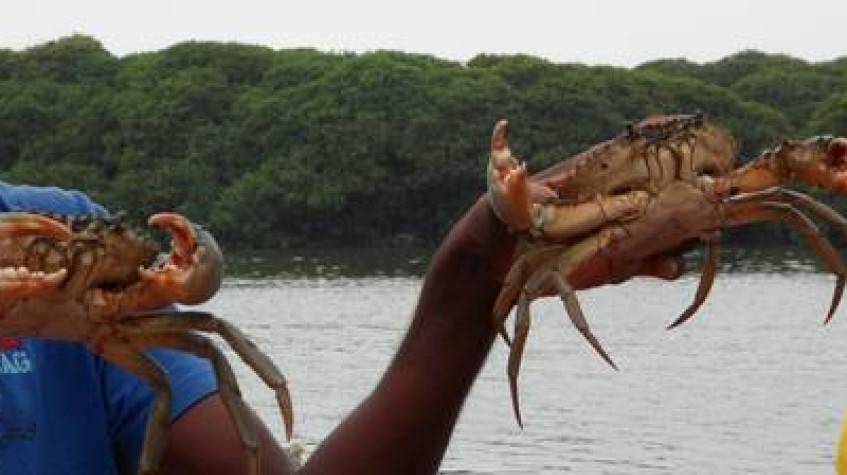 5 Days Negombo Sightseeing & Beach