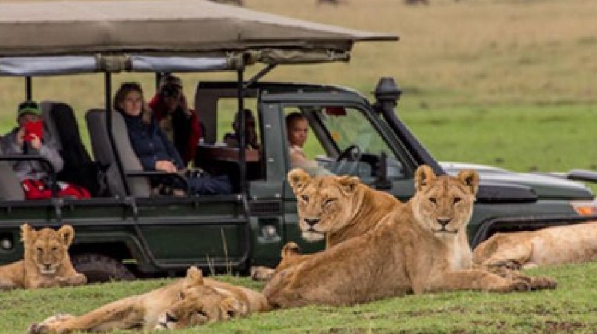 3 Days 2 Nights Maasai Mara Joining Safari Using a Landcruiser Jeep