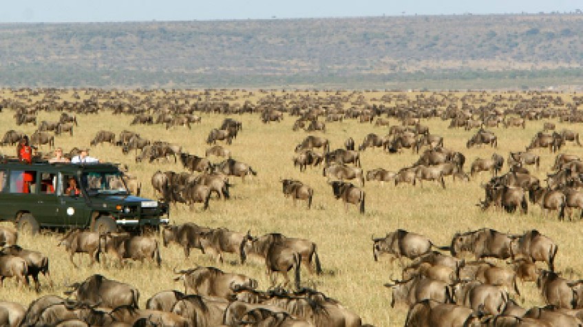 3 Days 2 Nights Maasai Mara Joining Safari Using a Landcruiser Jeep