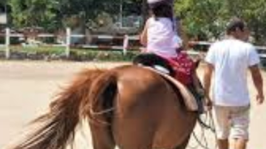 Daily Horse Riding Tour Bodrum