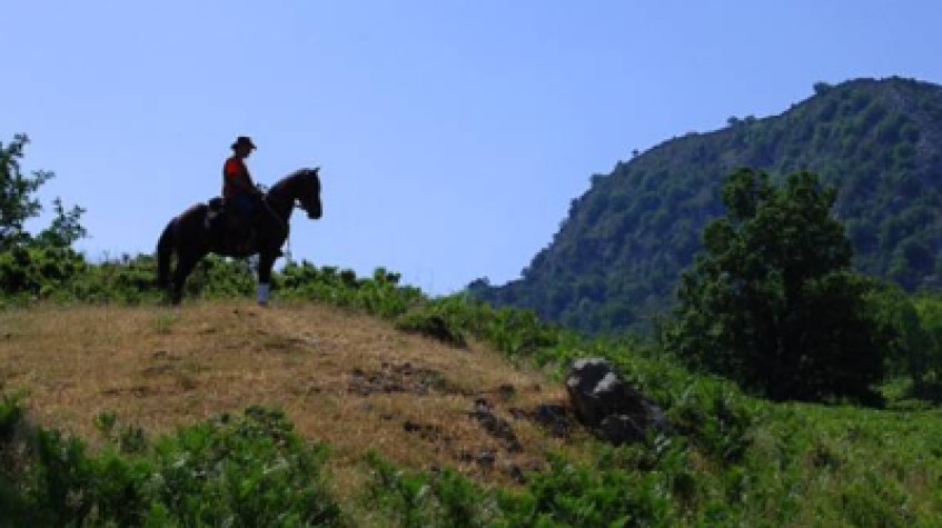 Daily Horse Riding Tour Bodrum
