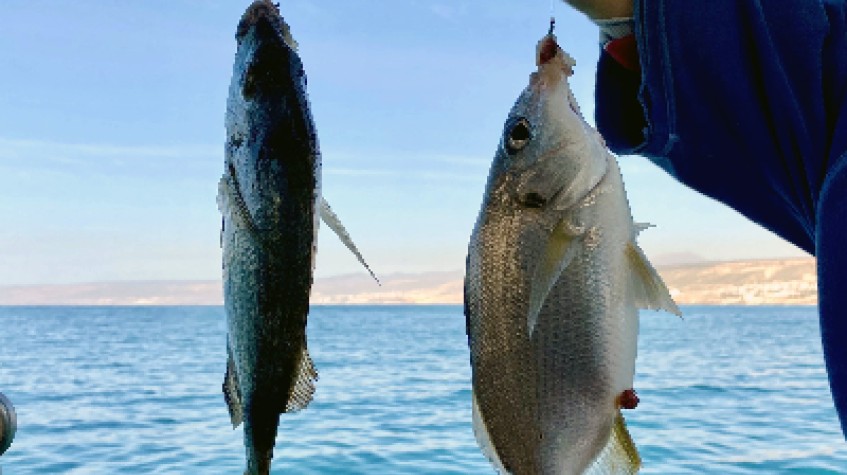 Daily Fishing Tour Bodrum