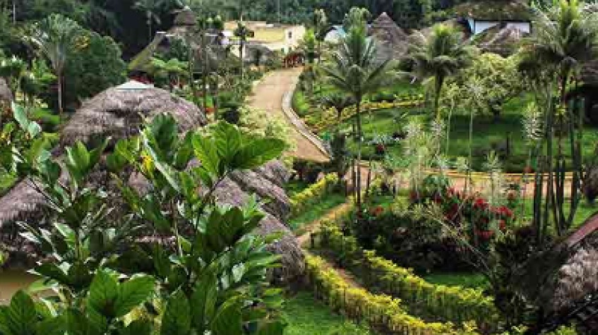 Arasha: Ecuador's Tropical Forst & Spa