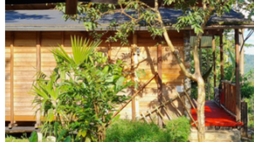 Coca Glamping Amazon Jungle Eco Glamping Experience