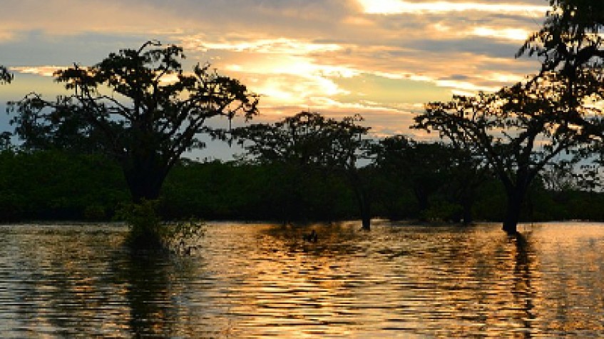 4 Days Amazon Lodge Cuyabeno Wildlife Reserve 