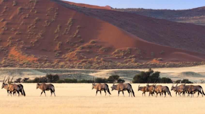 7 Days Sossusvlei, Swakopmund and Etosha National Park