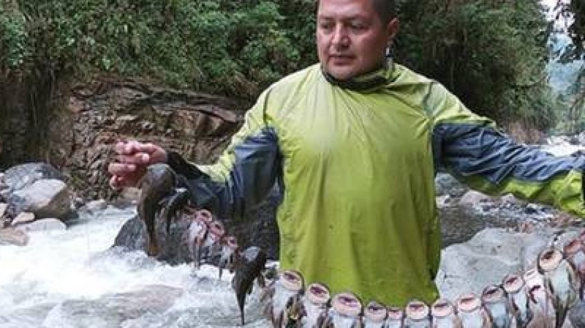 Active & Local Life in Baños 3 Days Tour
