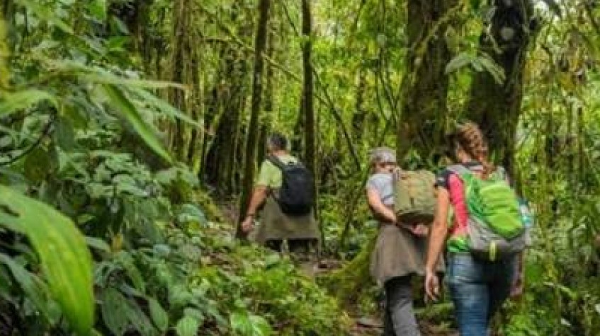 Ecuador Cloud Forest 5 Days Hiking Tour