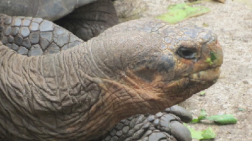 6D Galapagos Highlights