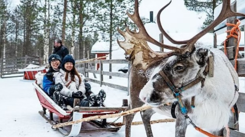 Santa Claus Trip with Husky and Reindeer Sleigh and Snowmobile